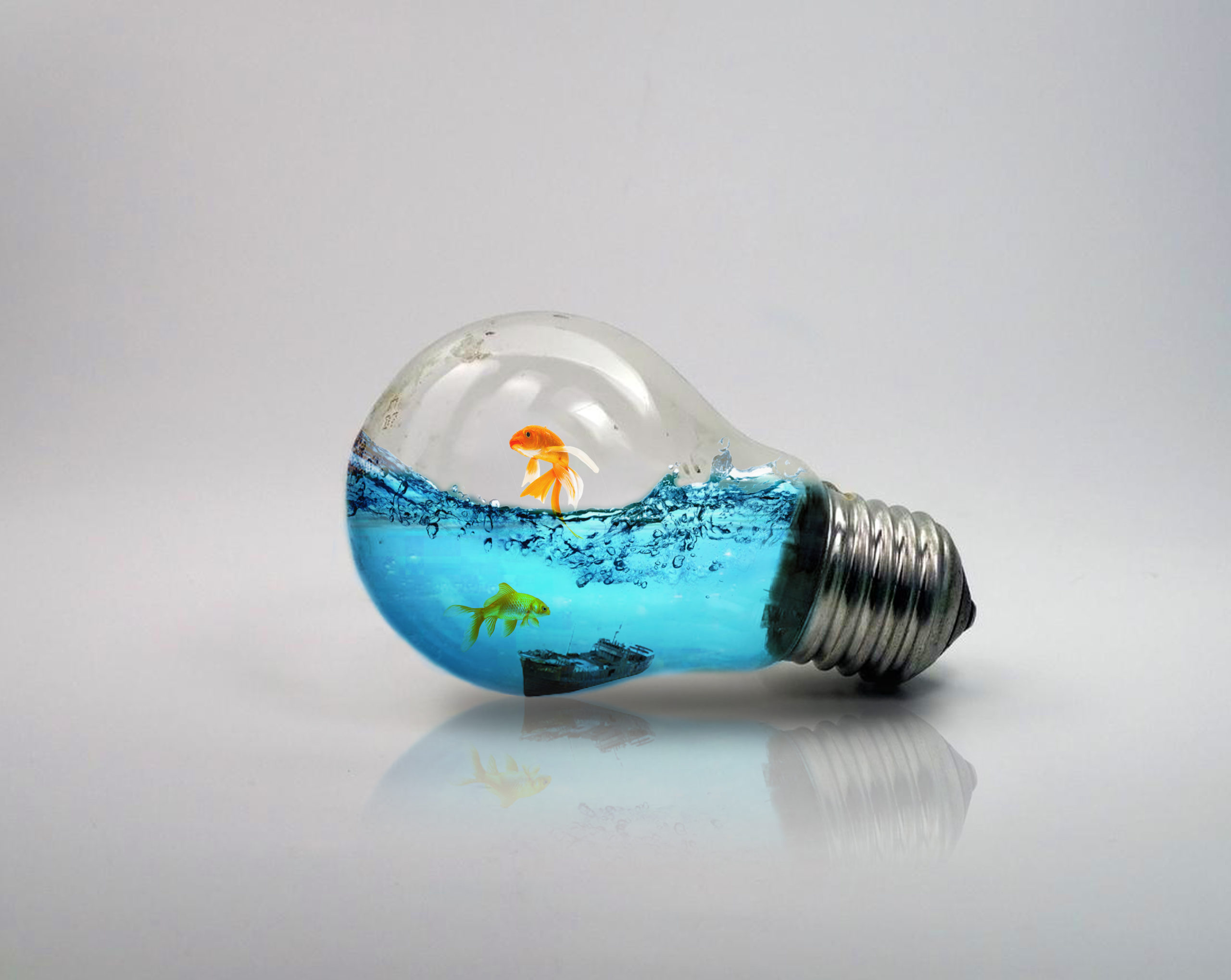 Goldfish in bulb | SunlineDesign
