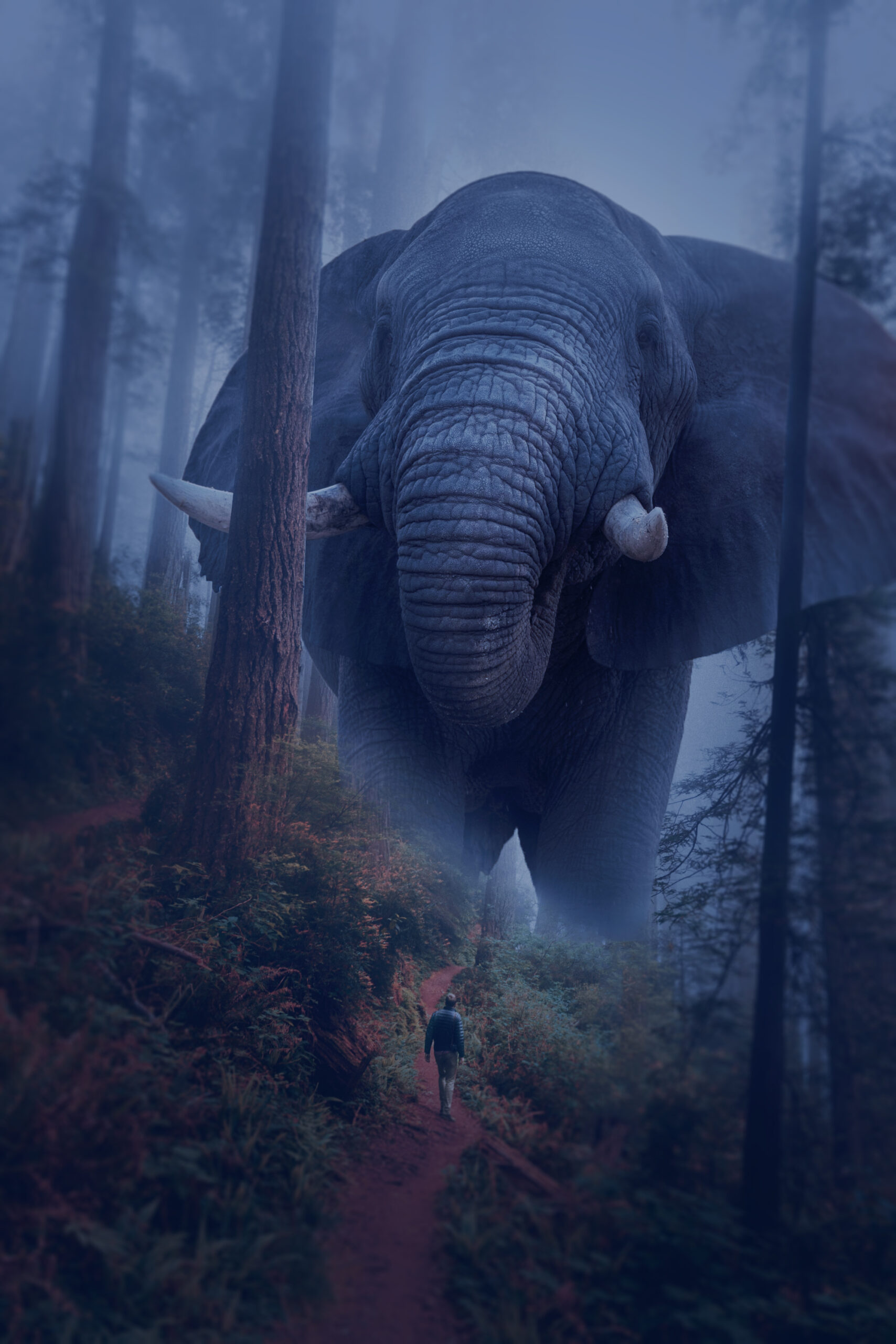 Elephant in the woods | Sunlinedesign