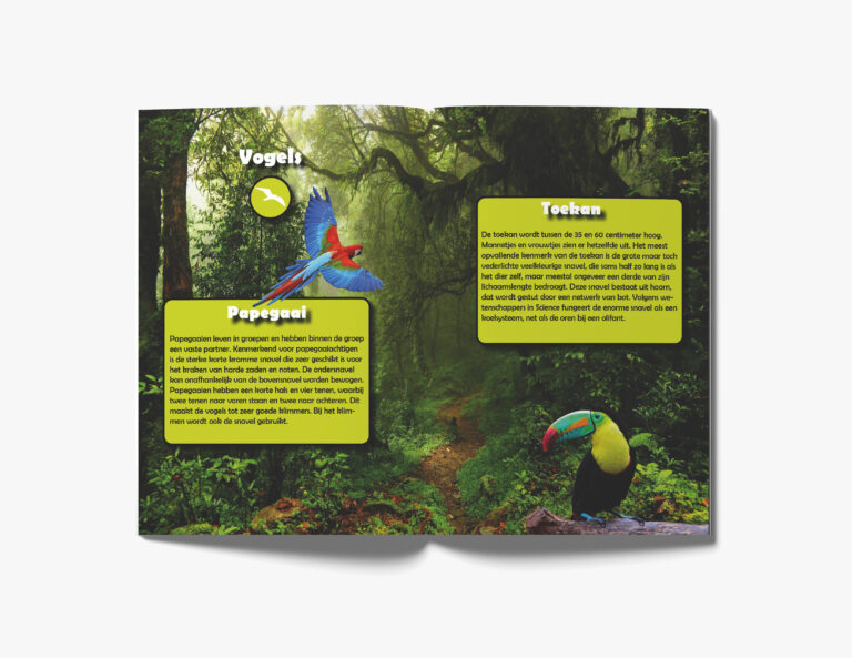 Brochure Dierentuin Vogels | SunlineDesign