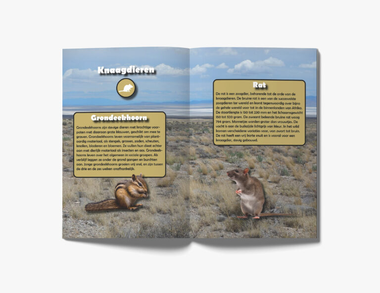 Brochure Dierentuin Knaagdieren | SunlineDesign